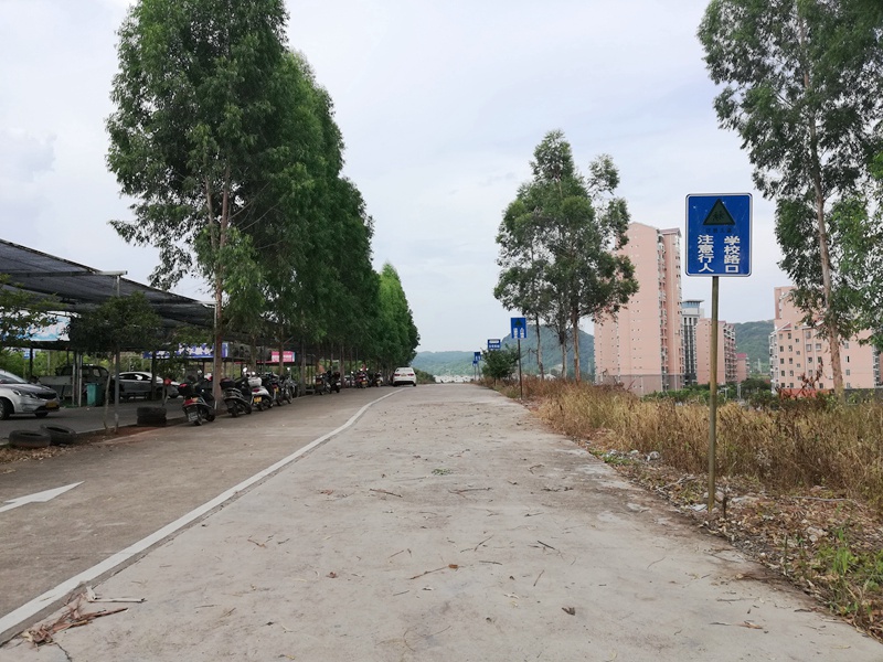 注意行人 学校路口